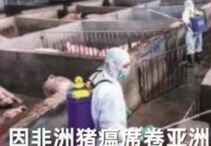 带猪肉去韩国被罚 为什么被罚究竟是怎么回事？